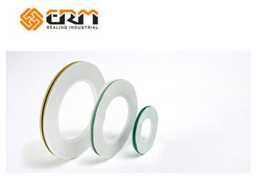 Flange PTFE Envelope Gaskets