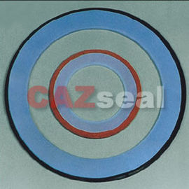 PTFE envelop pakking