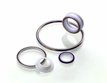 PTFE-Verbinding, de Lente Geactiveerde Teflonverbinding, Teflon Roterende Verbinding, de Statische Verbinding van PTFE